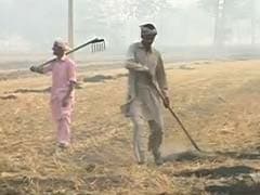 Acres Of Field Continue To Burn In Mukhtsar: Ground Report On Punjab's Crop Fires