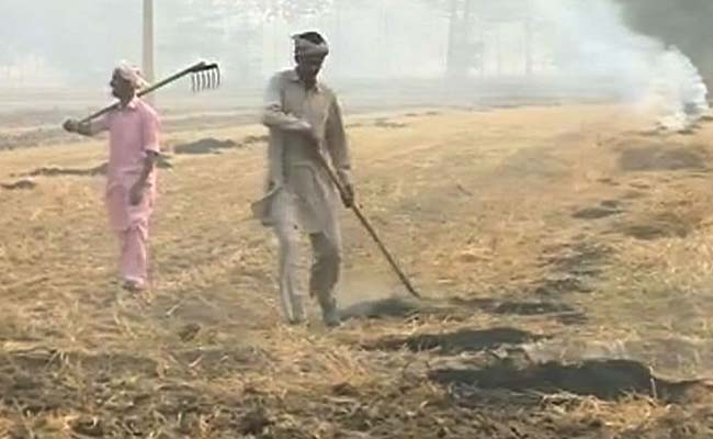 Acres Of Field Continue To Burn In Mukhtsar: Ground Report On Punjab's Crop Fires