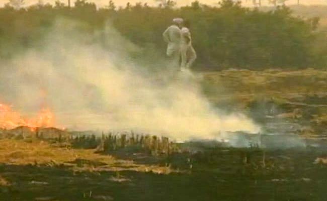 Punjab's Burning Fields, Delhi's Deadly Smog And The Politics