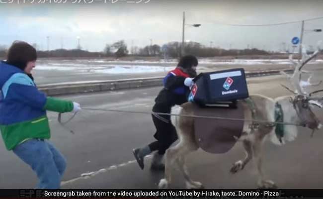 '30 Minutes Or Free'. Reindeer Being Trained To Deliver Pizza In Japan