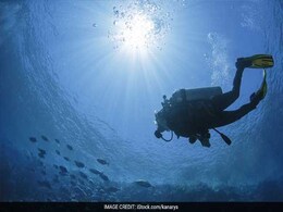 Man Survives 8 hours In Shark-Infested Waters Man Survives 8 hours In Shark-Infested Waters