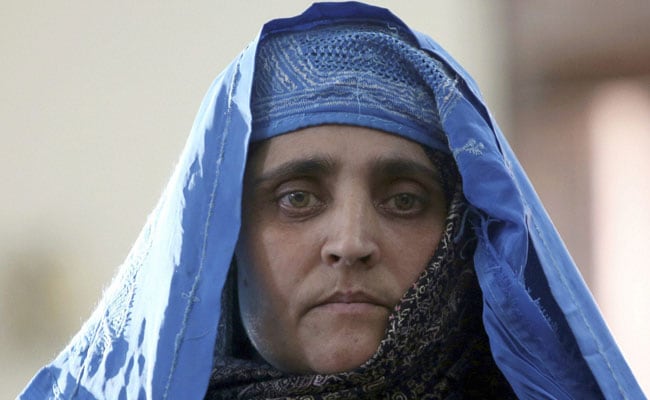 Didn't Expect Pakistan To Behave So Harshly: National Geographic's 'Afghan Girl'