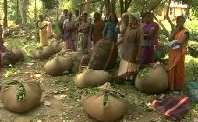 After Days Of Unpaid Labour, Kerala Workers Out Of Ways To Stay Afloat