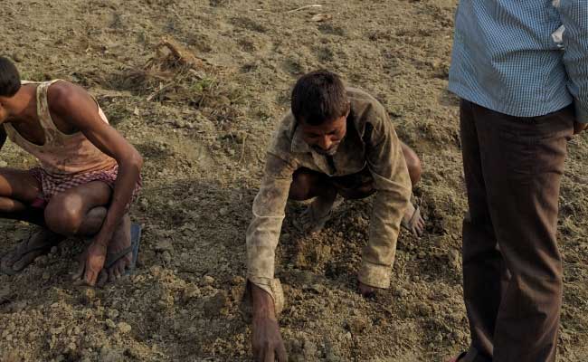 यूपी के कई जिलों के किसान खाद-बीज खरीदने के लिए कर रहे हैं नए नोटों का बेसब्री से इंतजार