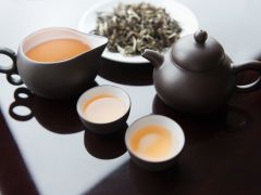 White Tea से घटेगा मोटापा और उम्र के निशान चेहरे से होंगे गायब, जानिए इस सफेद चाय से शरीर को मिलने वाले फायदे 