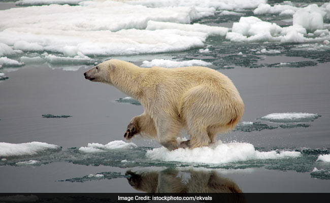 The Arctic Is 'Behaving So Bizarrely'