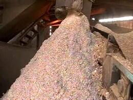 'नकदी' से बन रही है लकड़ी : 500-1000 के पुराने नोट कैसे किए जा रहे हैं रीसाइकिल... 'नकदी' से बन रही है लकड़ी : 500-1000 के पुराने नोट कैसे किए जा रहे हैं रीसाइकिल...