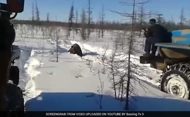 'Squash Him!' Video Of Gruesome Bear-Killing In Russia Goes Viral - And Could Be A Crime