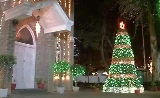 Bengaluru Church's Green Christmas: A Tree Made Of Cardboard