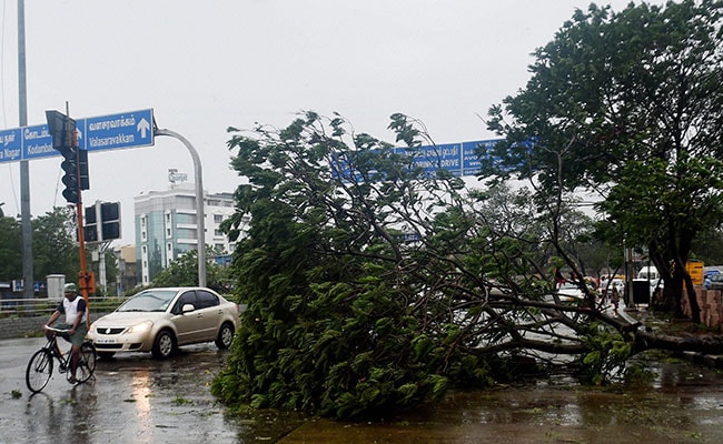 After Cyclone Vardah, Tamil Nadu Asks For Rs 1,000 Crore Relief: 10 Points