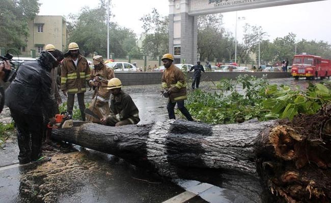 After Cyclone Vardah, Kiran Bedi's Tips On How To Prep A City For Safety