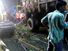 Chennai's Late Night Drive To Remove Trees Uprooted By Cyclone Vardah