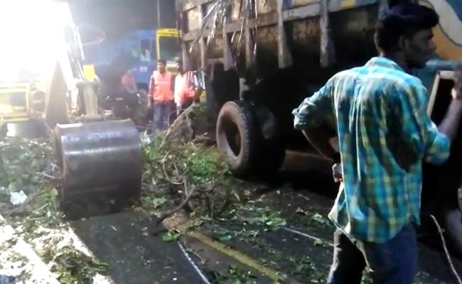 Chennai's Late Night Drive To Remove Trees Uprooted By Cyclone Vardah