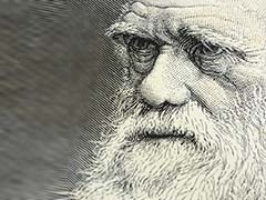 51-Million-Year-Old Genetic Secret To Charles Darwin's Theory Unlocked