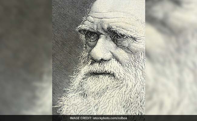 51-Million-Year-Old Genetic Secret To Charles Darwin's Theory Unlocked