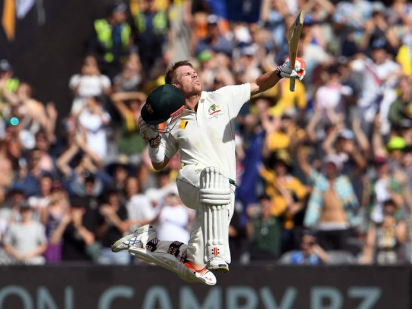 david warner celebrates afp