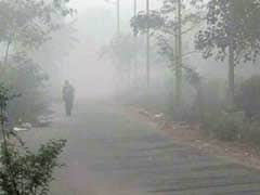 Cold Wave Hits Haryana And Punjab, Faridkot Records 0.7 Degree Celsius