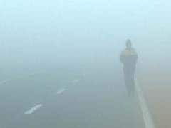 Dense Fog Persists In Punjab, Haryana, Minimum Temperature Above Normal