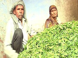 नोटबंदी से फसल पर संकट : गेंहू की बुआई तो हो गई, खाद के लिए बैंक से पैसे नहीं मिल रहे नोटबंदी से फसल पर संकट : गेंहू की बुआई तो हो गई, खाद के लिए बैंक से पैसे नहीं मिल रहे