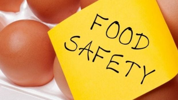 Telangana Government Forms Committees To Oversee Food Safety In State-Run Schools Telangana Government Forms Committees To Oversee Food Safety In State-Run Schools