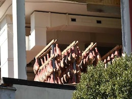 The Farmers, Their Little Pigs And The Wolves: An Italy Earthquake Survival Tale The Farmers, Their Little Pigs And The Wolves: An Italy Earthquake Survival Tale
