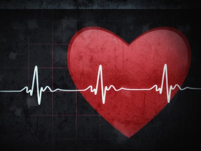 heart 650