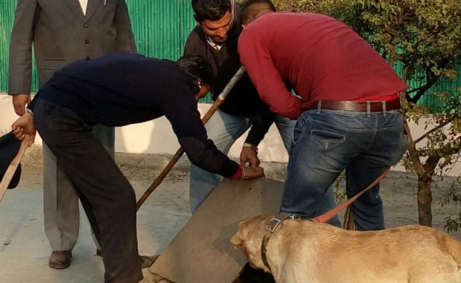 More Than 600 Cops, Sniffer Dogs Sweep JNU Campus To Find Missing Student Najeeb Ahmed
