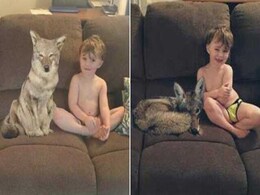 Woman's Hilarious Texts To Husband About 'Coyote' She Got Home Go Viral Woman's Hilarious Texts To Husband About 'Coyote' She Got Home Go Viral