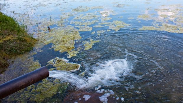 Paradise Lost: How Toxic Water Destroyed Pakistans Largest Lake - NDTV Food