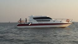 Mahindra Unveils 55-Foot Odyssea Made In India Luxury Yacht