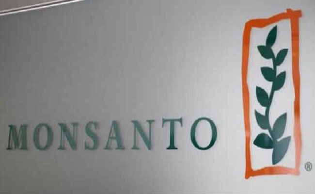 Government Cuts Monsanto's GM Cotton Seed Royalty By 20%