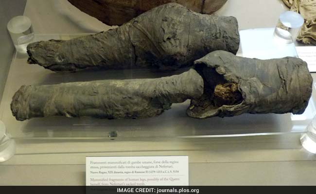 Egyptian Queen Nefertari's Mummified Legs From 13th Century BC Identified