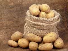 Centre To Buy 1 Lakh Tonnes Potato From UP To Help Farmers