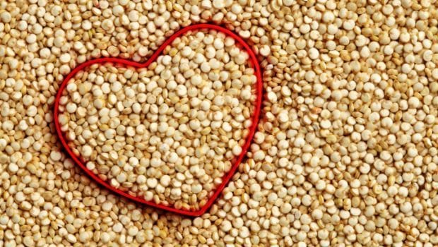 Plant Proteins, Healthy Fats and More 2017 Food Trends