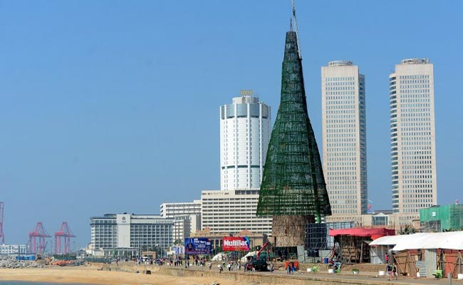 Sri Lanka's Record Christmas Tree Pruned Due To Work Delays