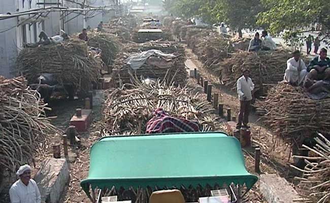 ग्राउंड रिपोर्ट : नोटबंदी से गन्ना उत्पादक किसानों से लेकर मजदूर तक सभी परेशान