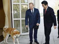 Russia Declines Japanese Dog Diplomacy Ahead Of Summit