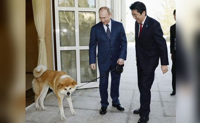 Russia Declines Japanese Dog Diplomacy Ahead Of Summit