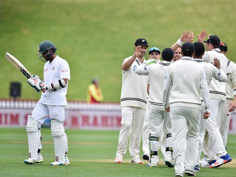 Mominul Haque, Tamim Iqbal shine in New Zealand gloom