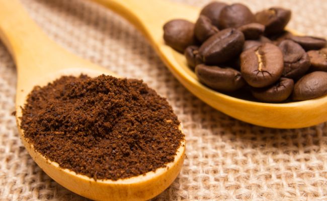 Know Your Coffee Beans: What is the Difference Between Arabica and Robusta?