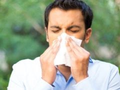 Suffering from Seasonal Allergy? Probiotic Bacteria May Curb the Symptoms