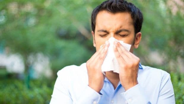 Suffering from Seasonal Allergy? Probiotic Bacteria May Curb the Symptoms