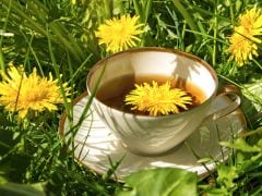 8 Amazing Benefits of Dandelion Tea for Your Health