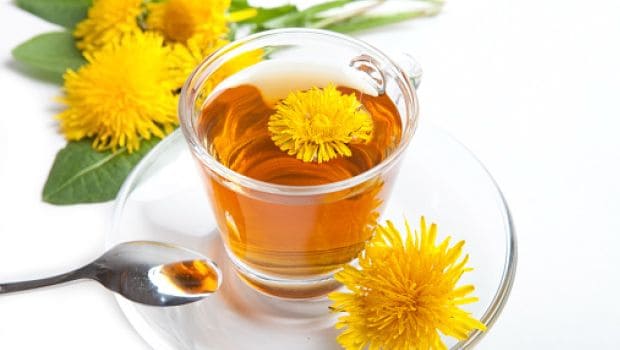 dandelion tea 620