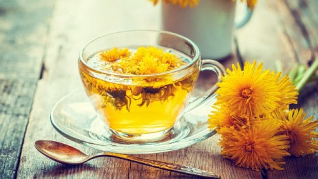 dandelion tea 620