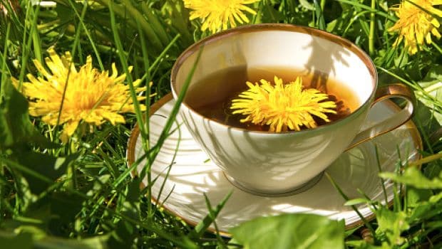 ceai de păpădie 620. 5 ceaiuri din plante care pot face minuni pentru sănătatea pielii și a părului