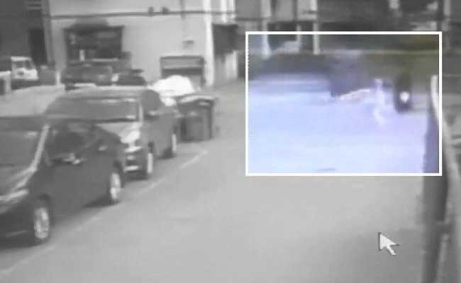 मुंबई : आवारा कुत्तों के हमले में घायल हुईं अभिनेत्री, सीसीटीवी में कैद हुई घटना