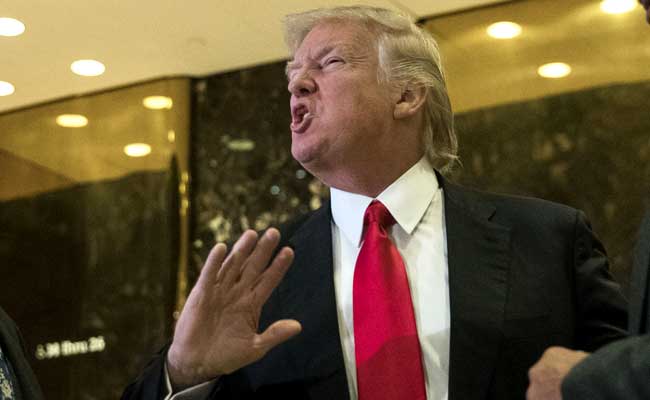 'Pragmatic' Donald Trump Might Be Persuaded On Climate Action: UK Scientists
