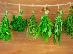 The Right Way To Store Fresh And Dried Herbs: Expert Tips The Right Way To Store Fresh And Dried Herbs: Expert Tips