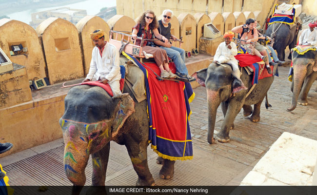 Rajasthan: आमेर में पर्यटक को हथिनी ने सूंड से उठाकर फेंका, टूरिस्ट का पैर टूटा, PETA ने कहा- 'गौरी' को जंगल भेजो